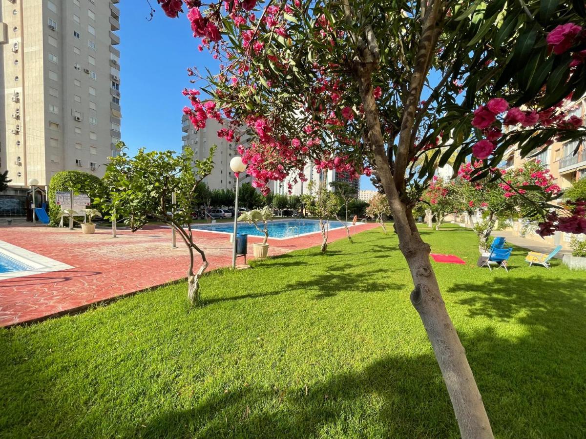 Beach Studio Apartment Hannibal La Cala Finestrat Benidorm Extérieur photo